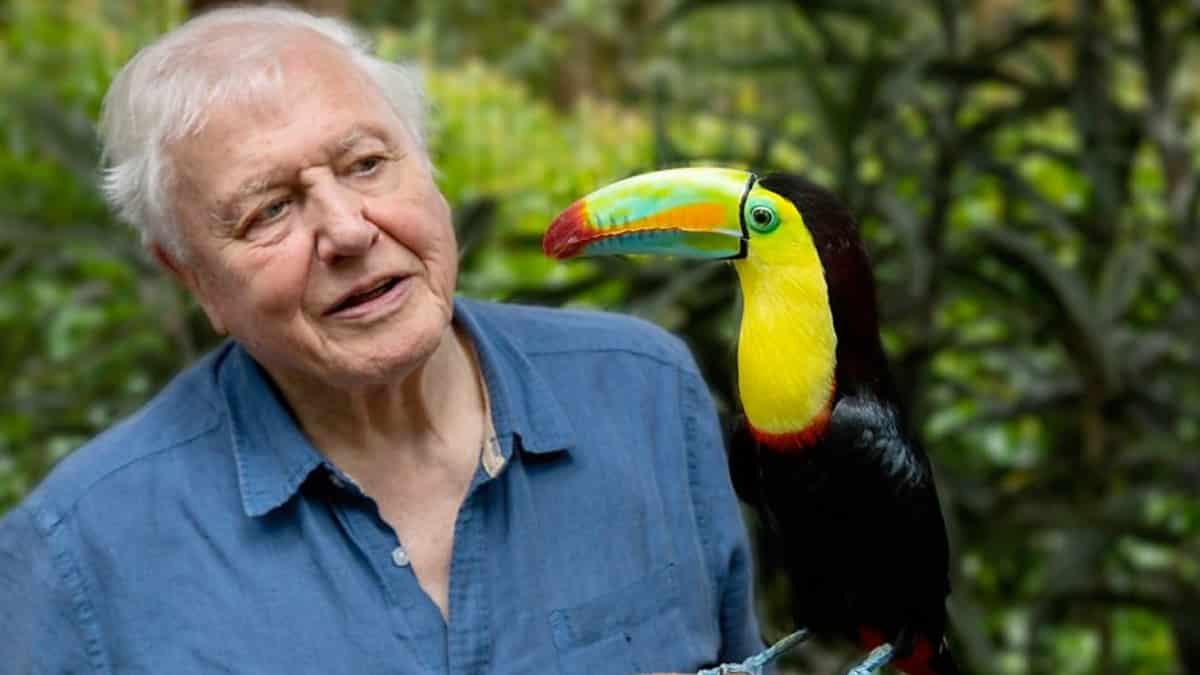 BBC announce new Sir David Attenborough nature documentary Life In