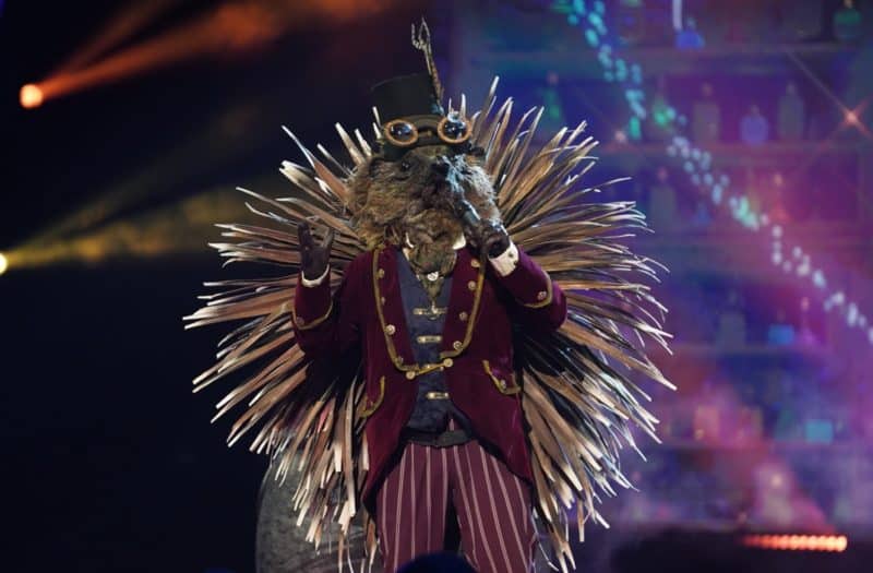 Image result for hedgehog the masked singer