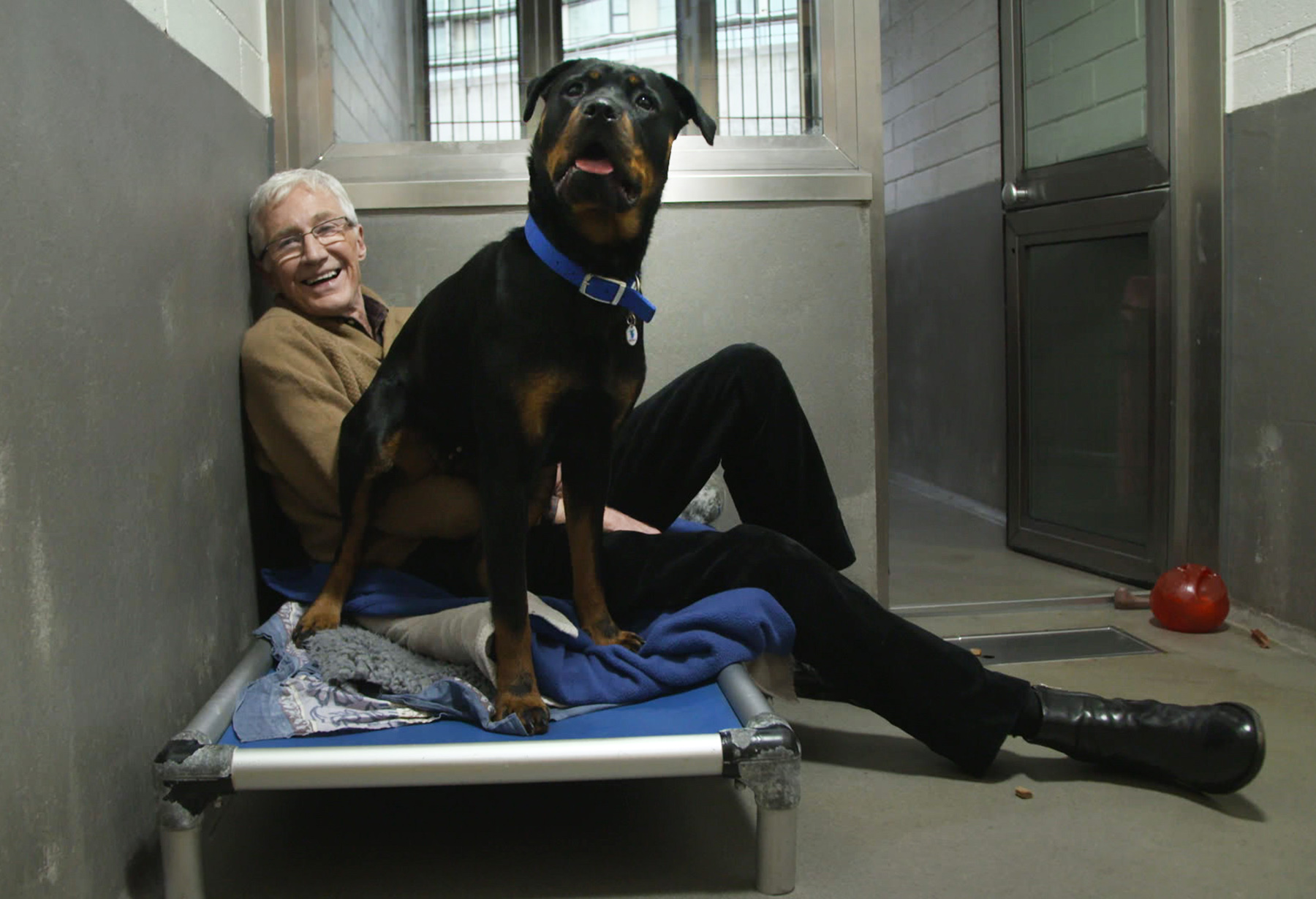 Paul O Grady For The Love Of Dogs 2021 Episodes And How To Watch   Paul Ogrady For The Love Of Dogs Ep1 04 