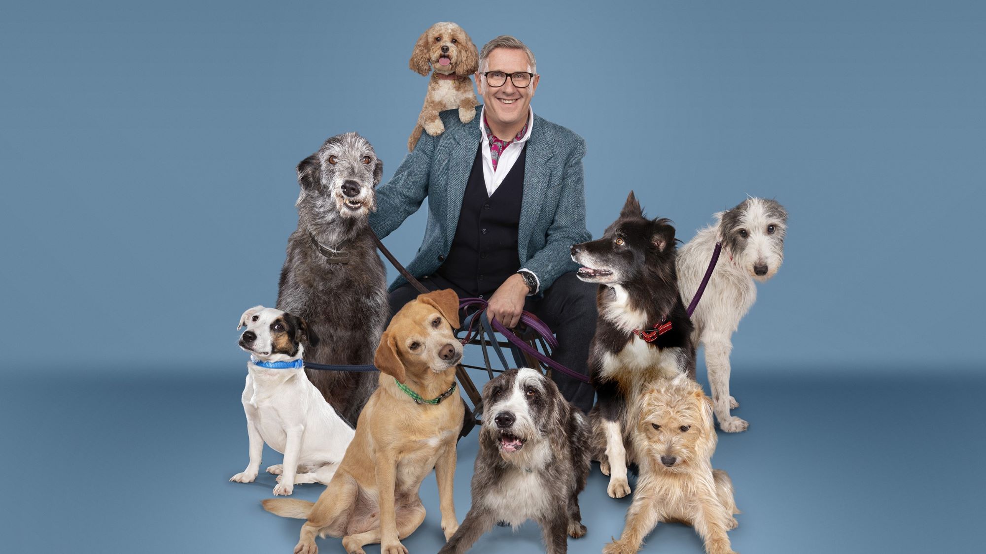 Dogs Behaving (Very) Badly Marks 100 Episode With New Series | TellyMix